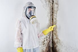 Best Mold Remediation for Vacation Homes  in Woodworth, OH